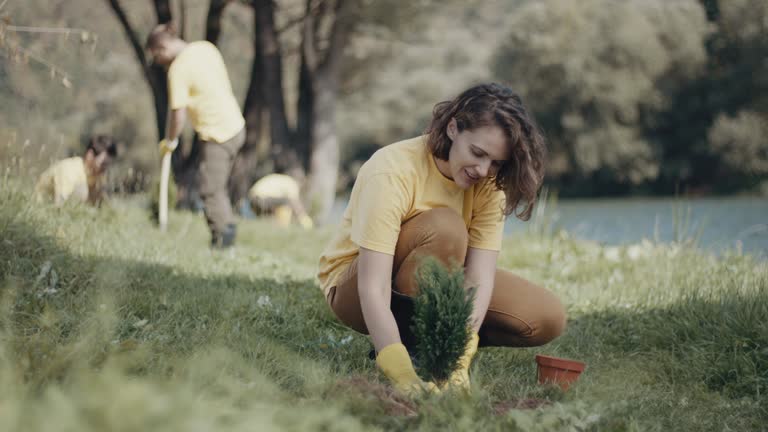 Best Pest Control for Lawns  in Thiells, NY